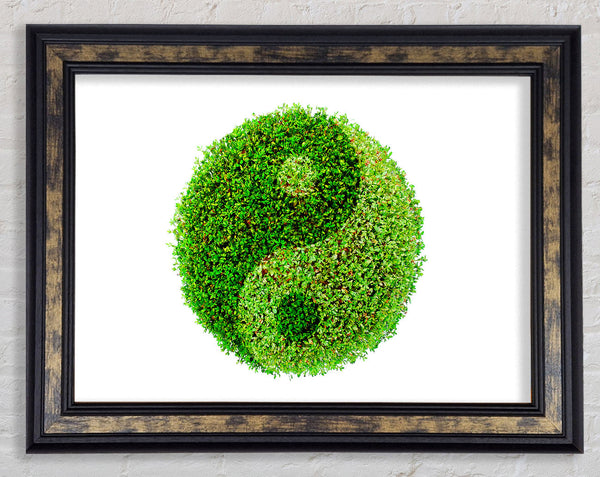 Ying And Yang Framed Print