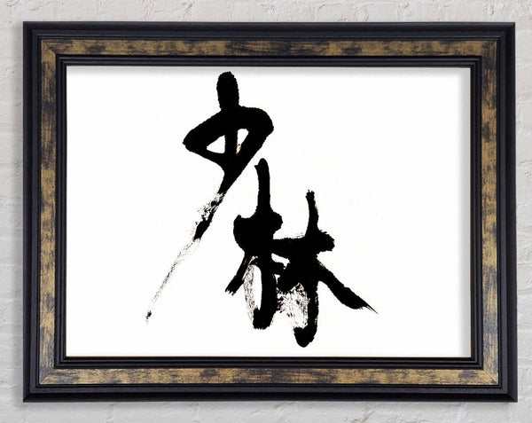 Chinese Symbol Framed Print