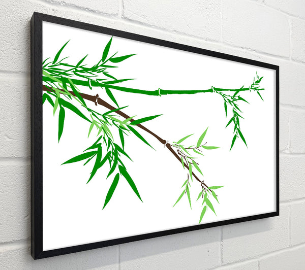 Bamboo Branches