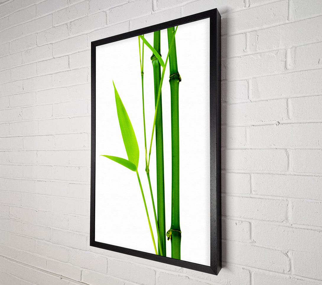  A Canvas Print of Bamboo Cane Canvas Wall Art