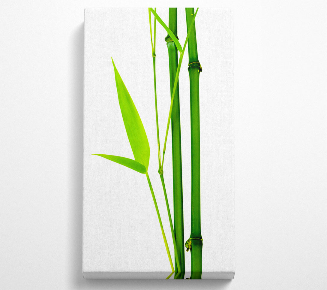  A Canvas Print of Bamboo Cane Canvas Wall Art