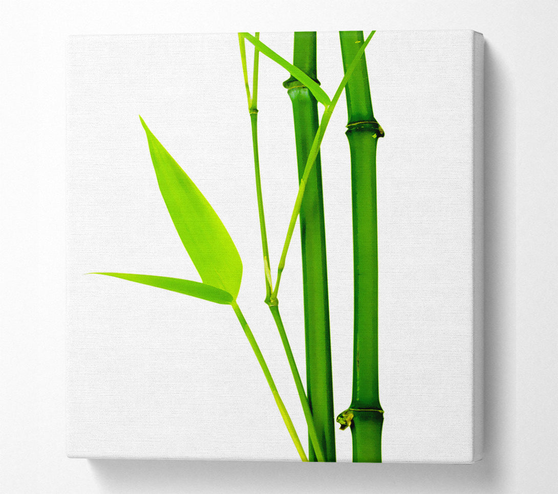  A Canvas Print of Bamboo Cane Canvas Wall Art