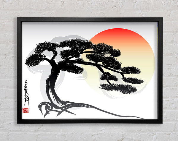 Bonsai Baum