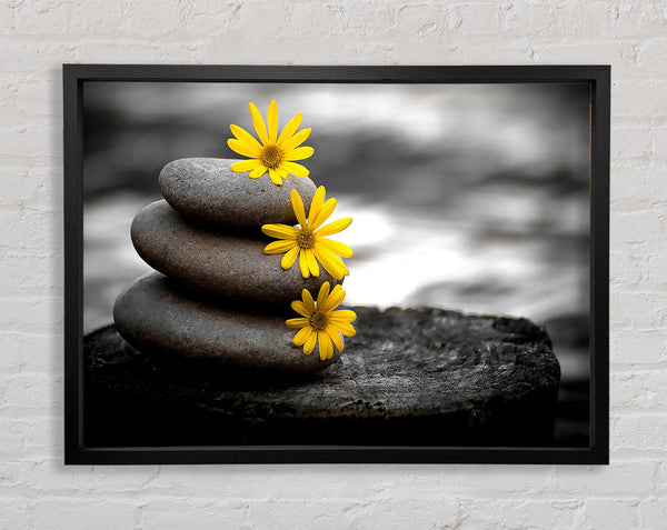 Zen-Blumensteine