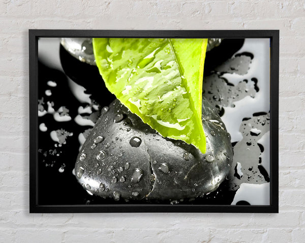 Zen-Stein und Blatt