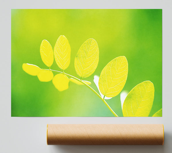 Leaves In The Golden Sun Poster