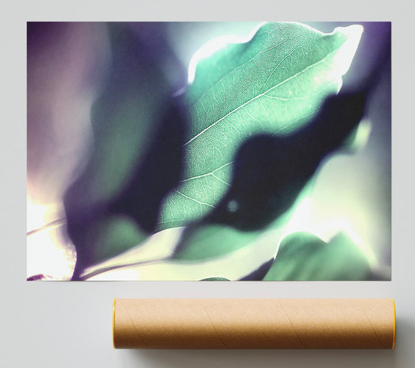 Leaves Hidding From The Light Print