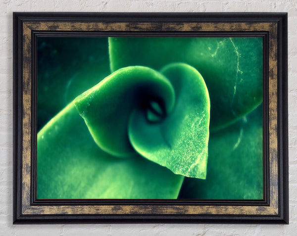 Green Light From The New Leaves Framed Print