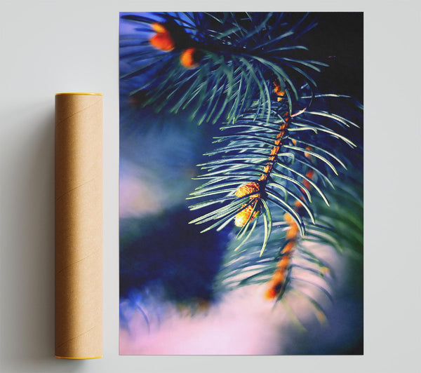 Fir Needles Macro Print