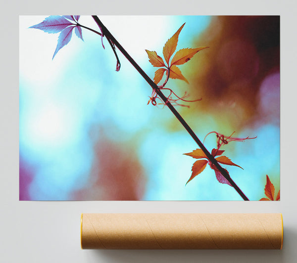 Leaves Close Up Print