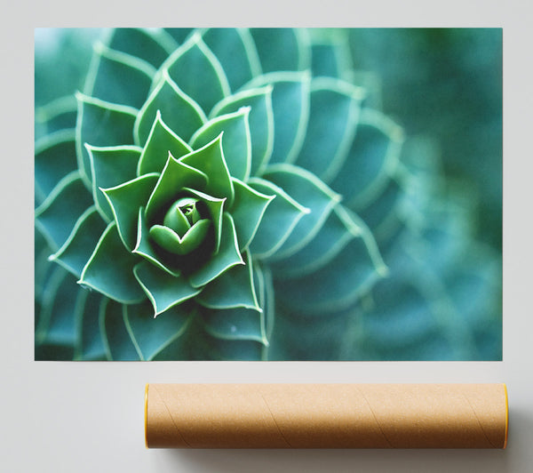 Beautiful Plant Print