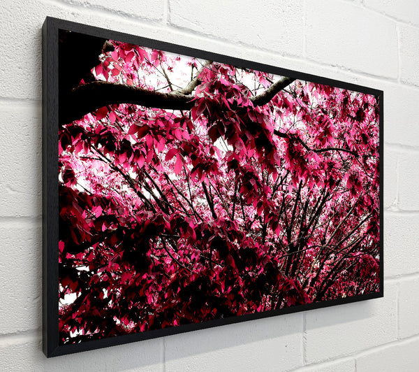 Pink Tree
