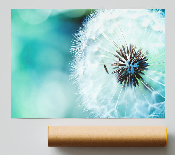 Dandelion Flower Wish Print