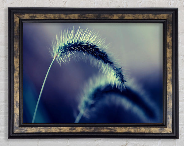 Spikelets Macro Framed Print