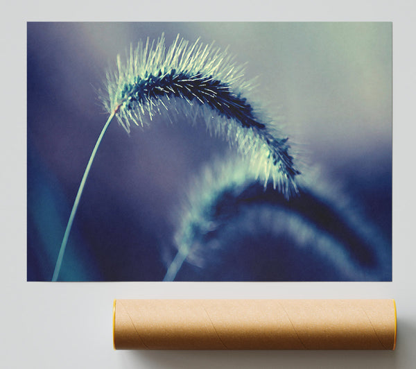 Spikelets Macro Print