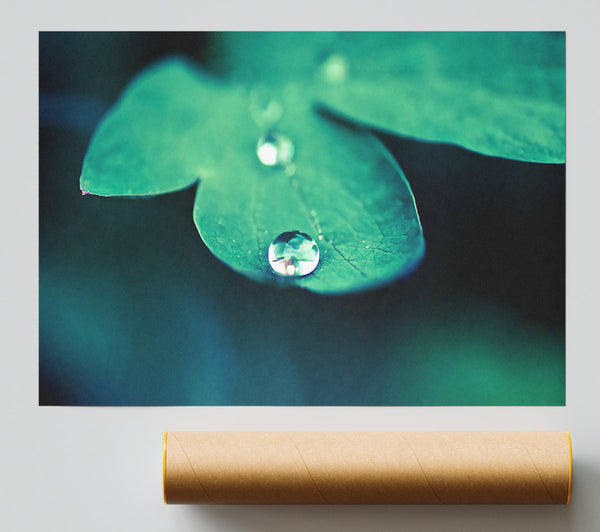 Drop Of Water Macro Poster