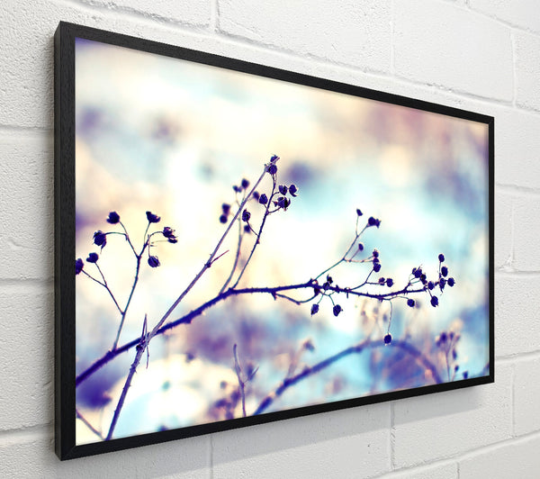 Spikey Twigs With Berries