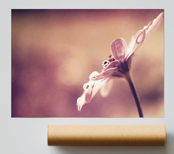 Stunning Dewdrop Haze Poster