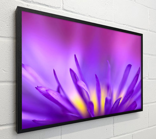 Delicate Purple Petals