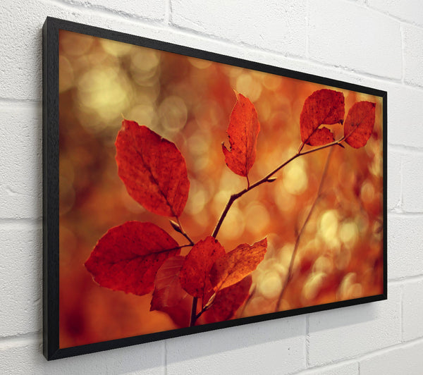 Leaves In Autumn