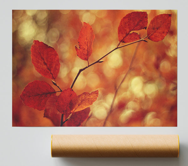 Leaves In Autumn Print