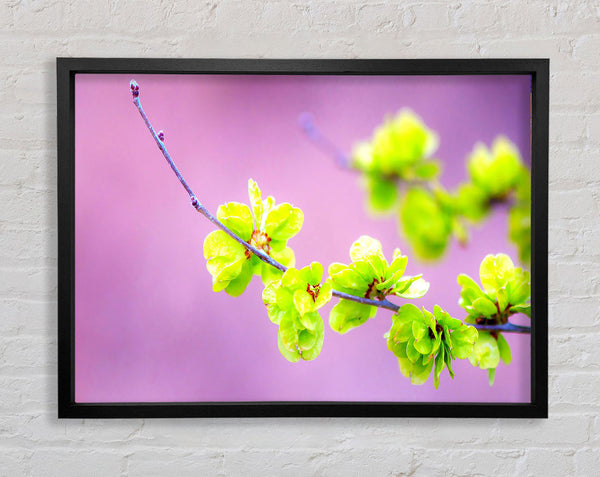 Kleine grüne Blumen