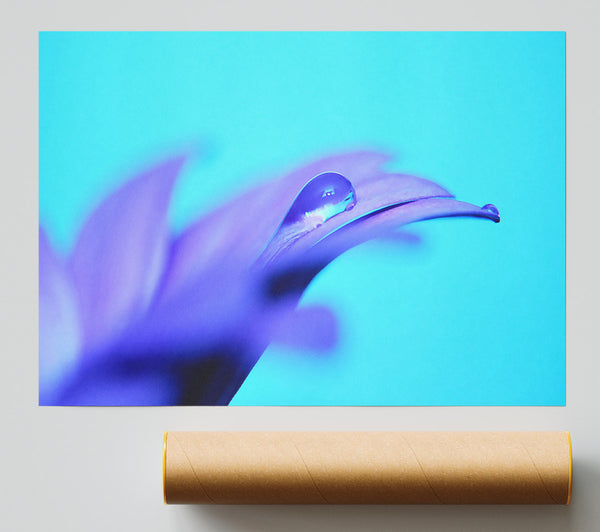 Purple Petals Poster