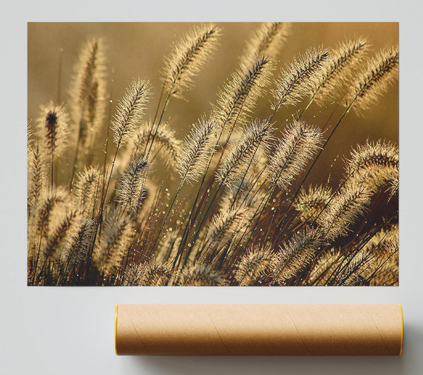 Bundle Of Ears Giclee Print
