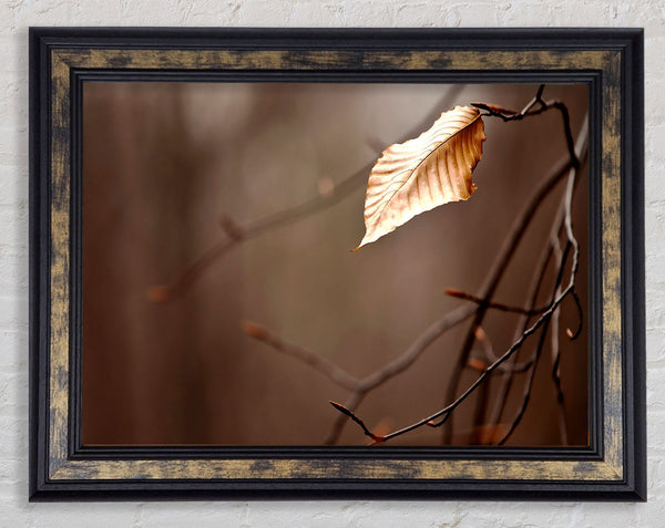 Leafless Framed Print