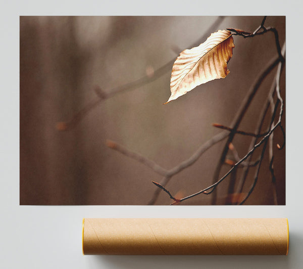 Leafless Print