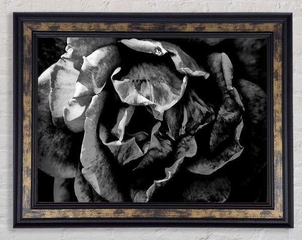 Anti Social Framed Print