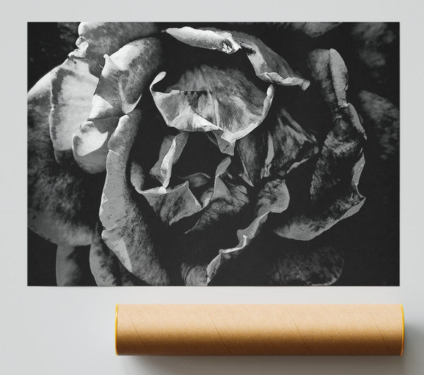 Anti Social Giclee Print