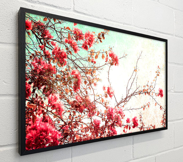 Antique Cherry Blossom