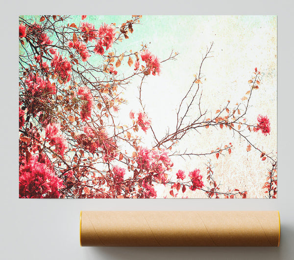 Antique Cherry Blossom Print