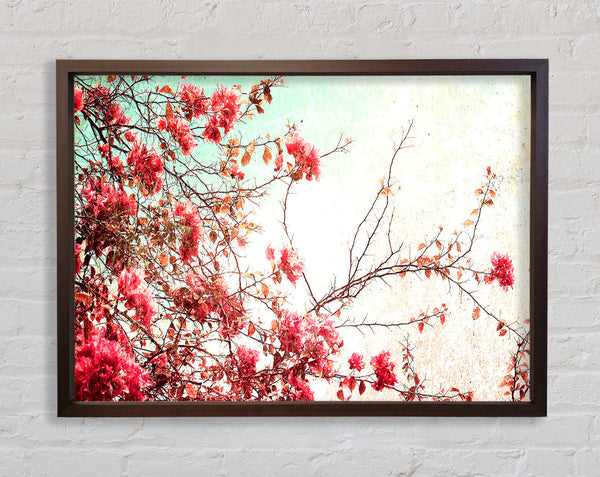 Antique Cherry Blossom