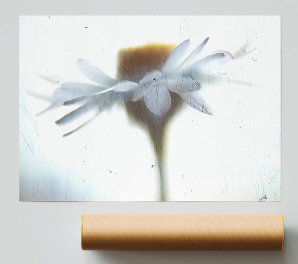 Vintage Daisy Print