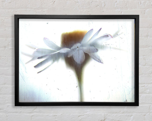 Vintage Daisy Framed Print