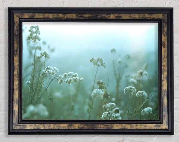 Fragile Beauty Framed Print