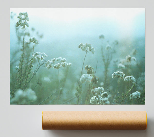Fragile Beauty Giclee Print