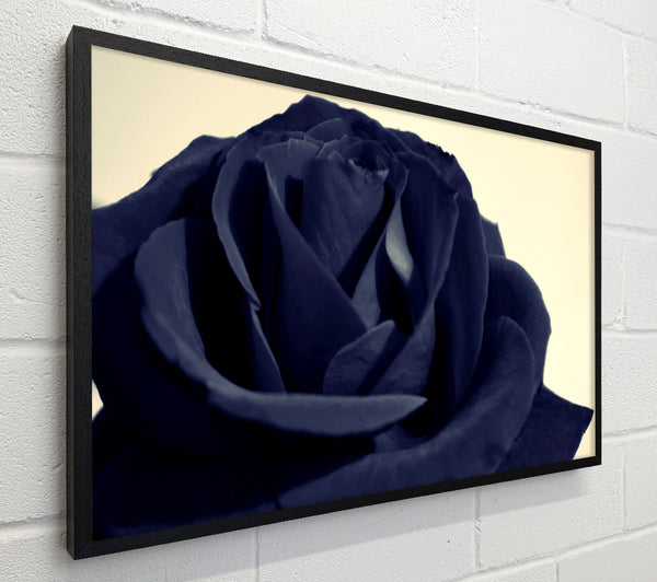 Black Blue Rose