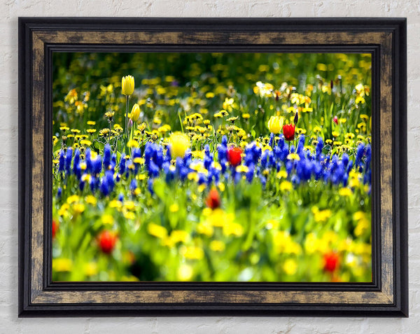 Spring Fling Framed Print