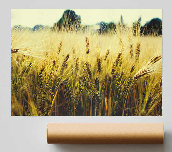 Yellow Grain Giclee Print