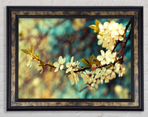 Beautiful Spring Day Framed Print