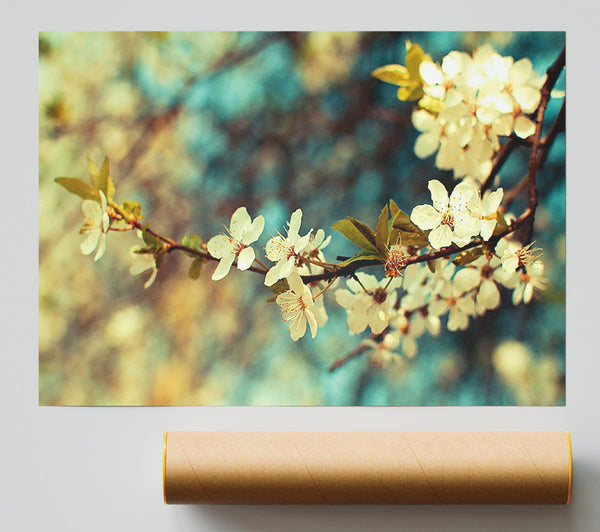 Beautiful Spring Day Poster