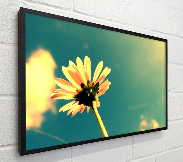 Summer Flower Retro Sunshine