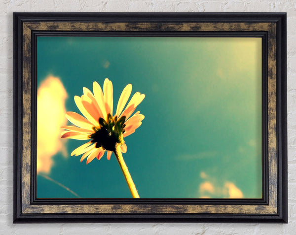 Summer Flower Retro Sunshine Framed Print