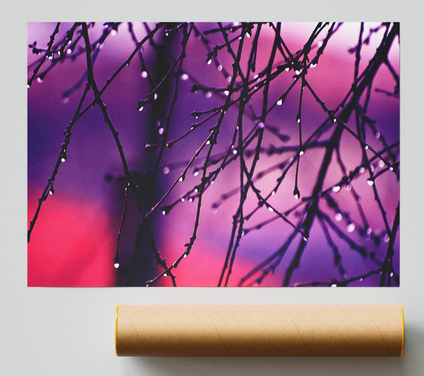 Wet Twigs Giclee Print