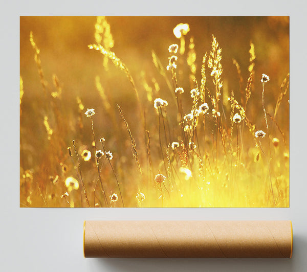 Summer Sunlight Over Field Print