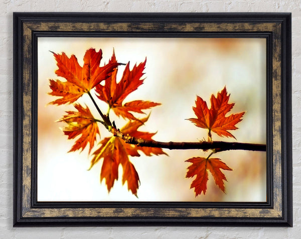 See You In Spring Framed Print