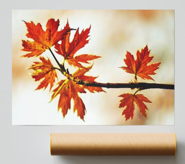 See You In Spring Giclee Print